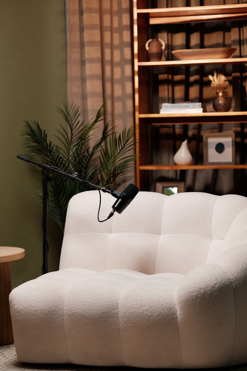 cozy modern living room with armchair and bookshelf